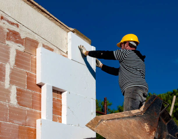 Best Blown-in Insulation in Ashburn, GA