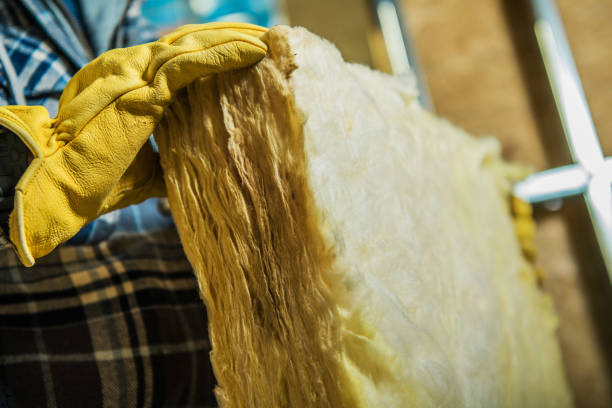 Best Eco-Friendly Insulation in Ashburn, GA